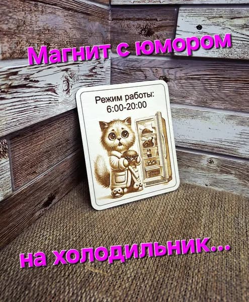 Магнит- прикол "Режим работы"