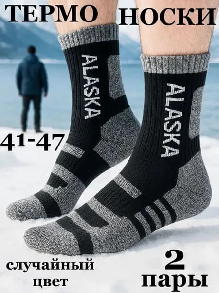 Носки Аляска мужские носки алЯска муЖские, 2 пары