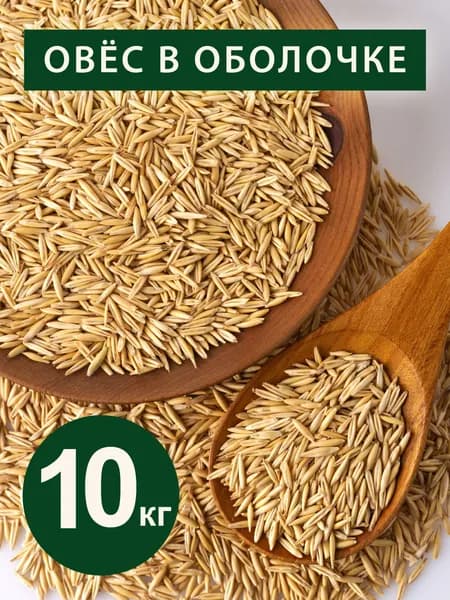 Овес для заваривания и проращивания неочищенное зерно 10 кг