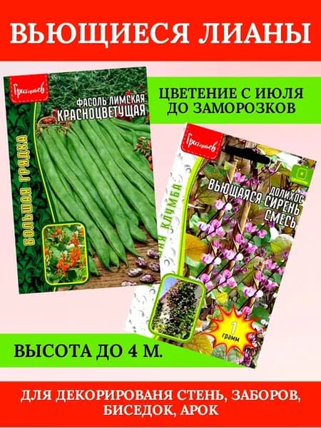 Набор декоративные вьющиеся лианы семена
