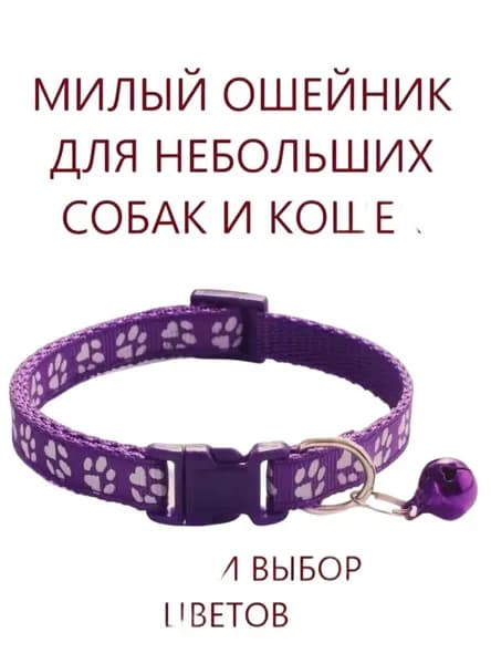Ошейник