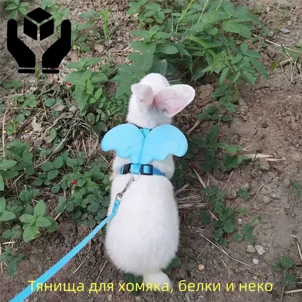 Шлейка