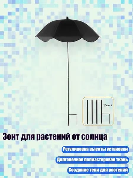 Куполх2см