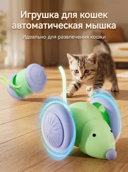 Кот, электрическая игрушка, мышь, бегущий спортивный автомобиль.