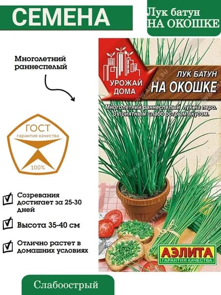 Аэлита Семена ,1шт