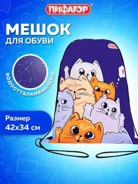 Мешок для обуви Пифагор, 1 отделение, 42х34 см, Cats greetings