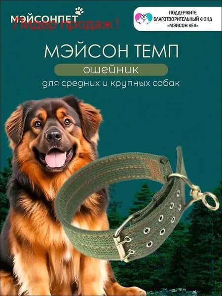 Ошейник для собак средних и крупных пород усиленный нейлоновый с вертлюгом /ширина 50мм, длина 70 см