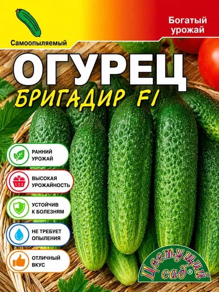Огурец самоопыляемый БРИГАДИР высокоурожайный (Семена ЦВЕТУЩИЙ САД, 0,3 г семян в упаковке)
