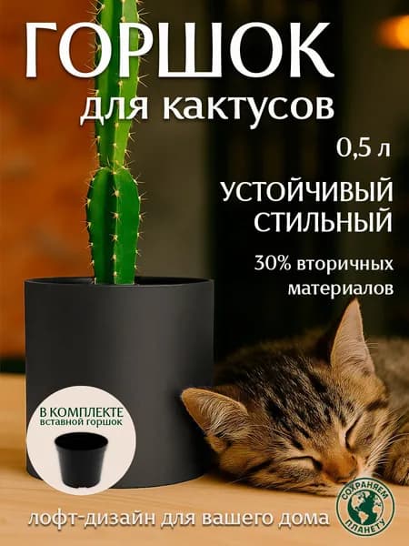 Горшок для кактусов со вставкой, кашпо для маленьких цветов, 500 мл, графит