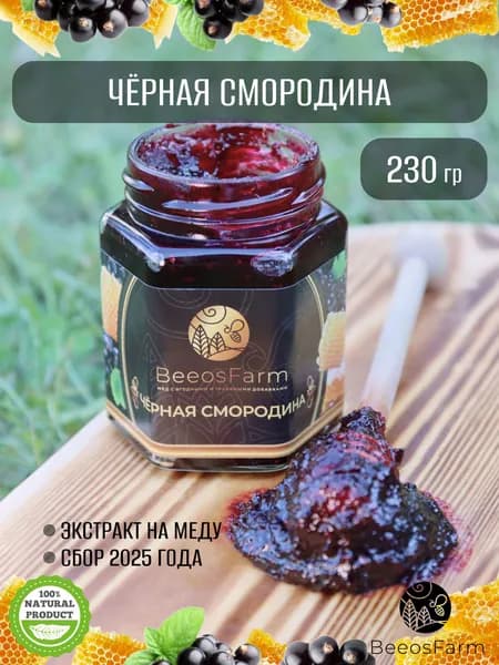 Натуральный мед с черной смородиной