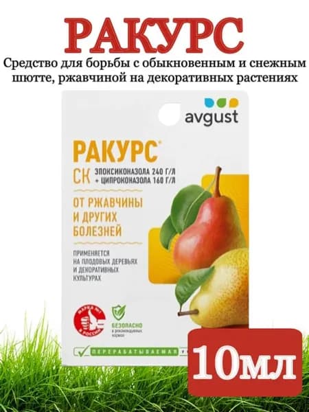 Ракурс от ржавчины и других болезней 10 мл