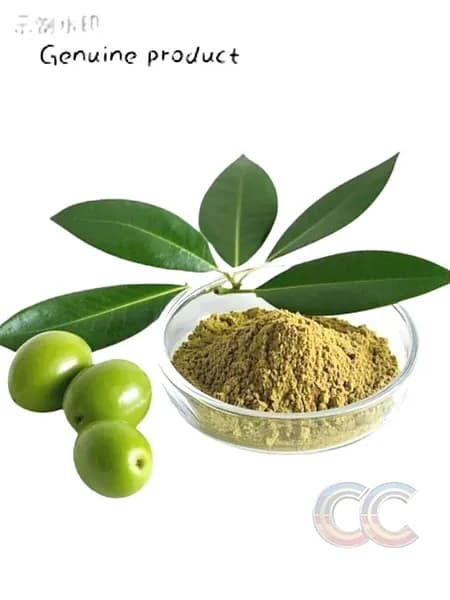 Экстракт оливковых листьев ( Oleuropein Olive Leaf Standardized Extract)