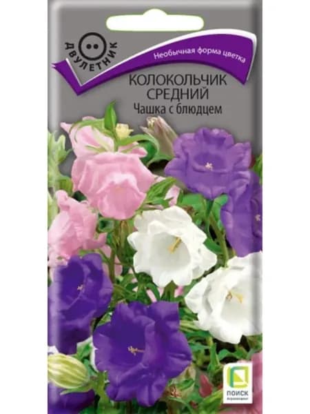 Семена Колокольчик сорт Чашка с блюдцем