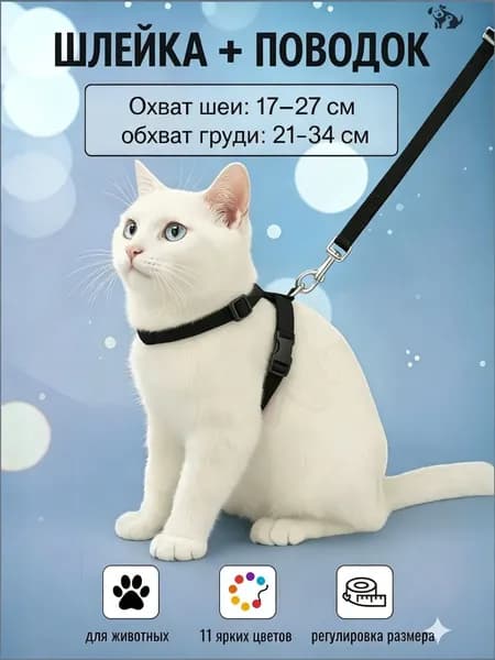 Шлейка