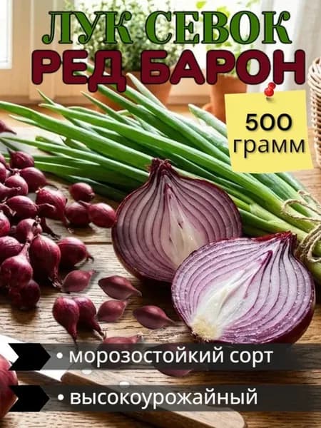 Лук севок "Ред барон" для сочной зелени и репки