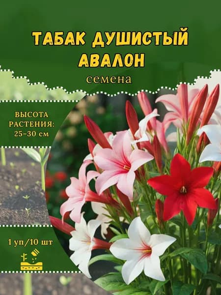 Табак душистый "Авалон, смесь" семена, 1 пачка