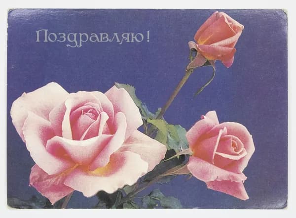 Открытка. "Поздравляю". Чистая. 1987 г. Художник О. Френкель.