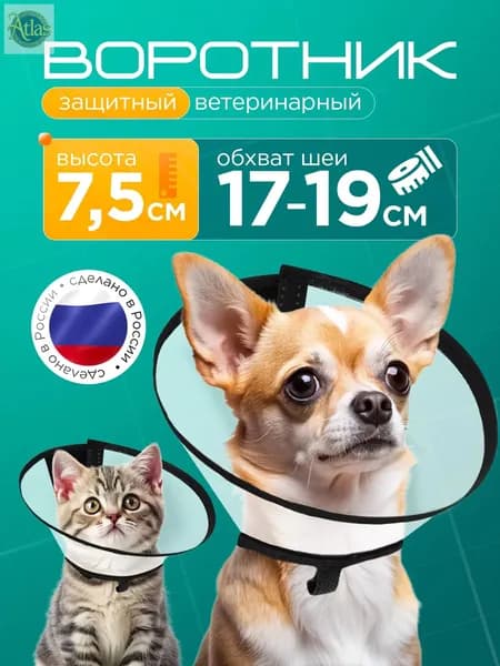 Защитный воротник ветеринарный для кошек и собак № 1, высота 7.5 см