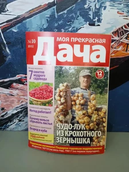 Журнал Моя прекрасная дача. №10 (октябрь 2012) | Книга б/у