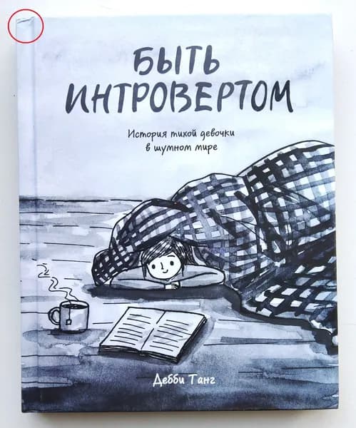 Быть интровертом. История тихой девочки в шумном мире | Танг Дебби