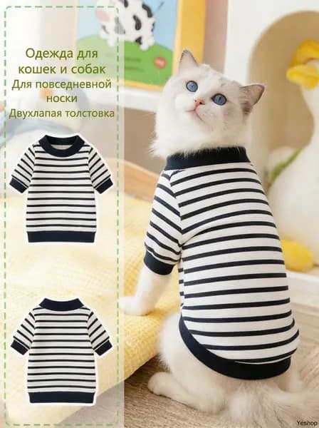 Одежда для кошек на весну и лето, повседневная, в черно-белую полоску