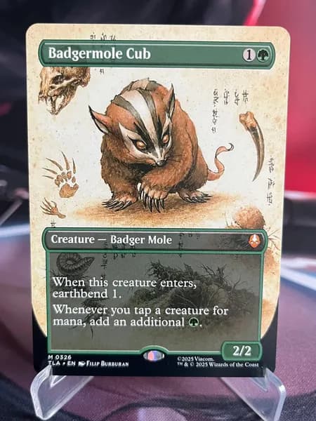 Магия сбора прокси-карт Высококачественные нефольговые карты Badgermole Cub #326
