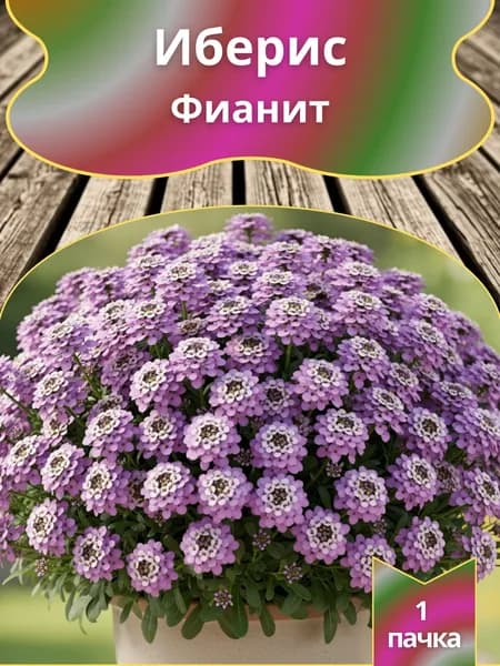 Иберис зонтичный Фианит , семена 10 шт.