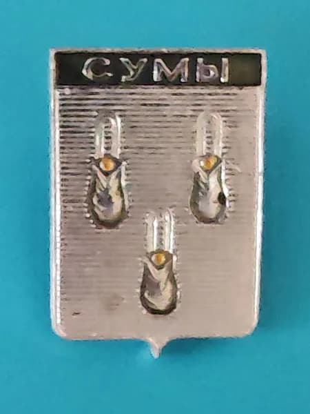 Значок из СССР - сувенирный памятный знак герб "Сумы", 27х18