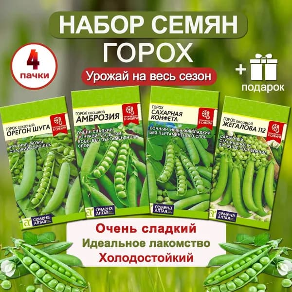 Набор семена горох сладкий от Семена Алтая (4пачки): Орегон Шуга, Амброзия, Сахарная конфета, Жегалова 112