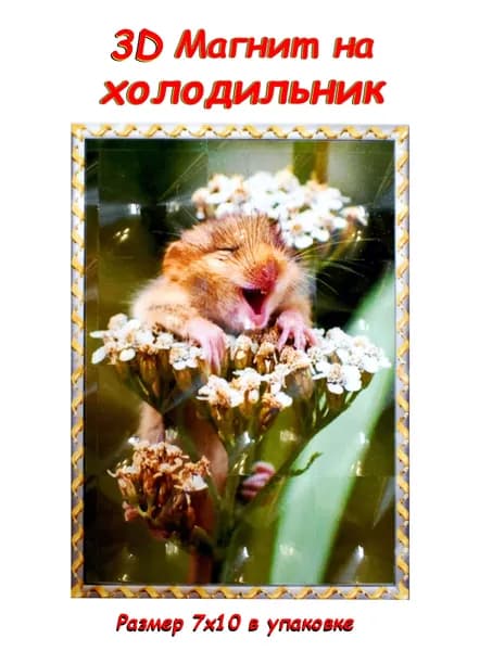 Магнит на холодильник 3D голографический эффект.
