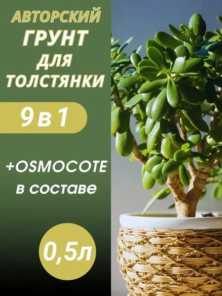 Грунт для Толстянки 0.5л готовый
