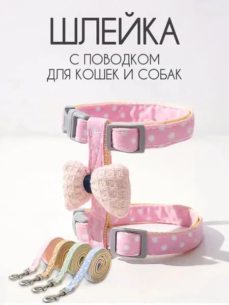 Шлейка для собак мелких средних пород и кошек с поводком