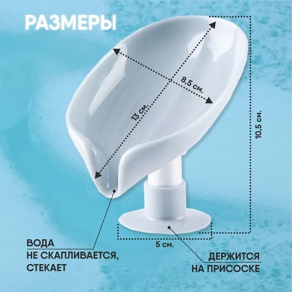 Мыльница