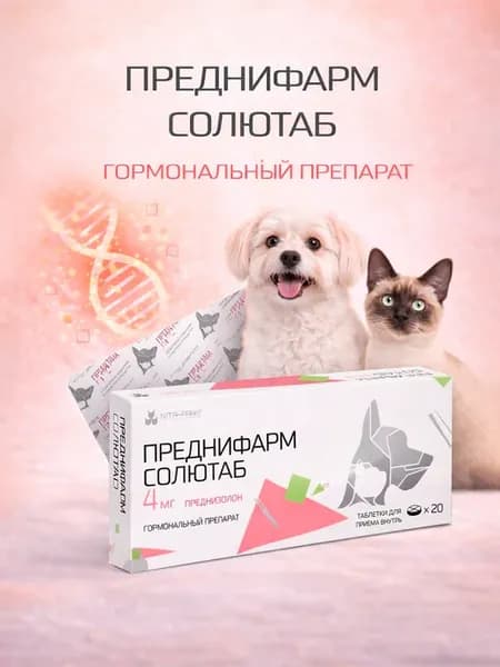 Преднифарм 4 мг для кошек и собак — глюкокортикостероидный п…