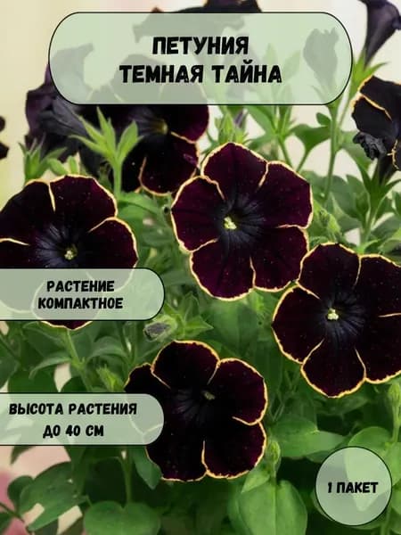 Петуния Темная тайна семена 10 шт