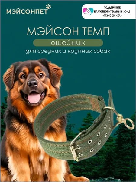 Усиленный нейлоновый ошейник с вертлюгом для крупных и средних собак, 50 мм шириной и 70 см длиной, популярный