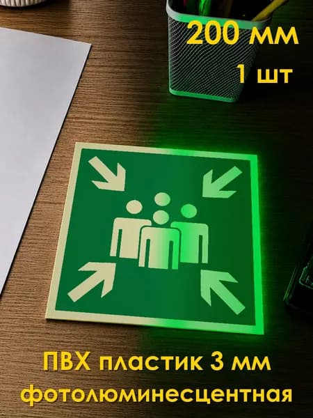 Табличка: знак эвакуационный E21 Пункт (место) сбора , 200x200 мм, фотолюминесцентный ПВХ 3 мм, ГОСТ 12.4.026-2015