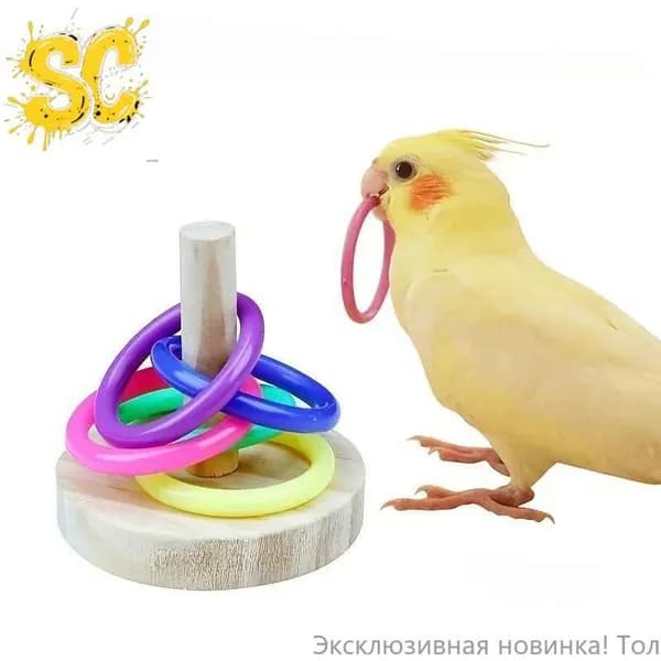 Игрушки для птиц, Интерактивная игрушка с кольцом попугая