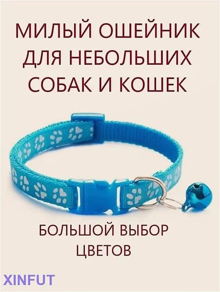 Ошейник