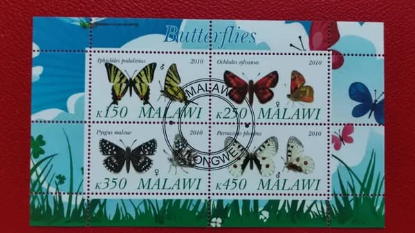 Марки Малави 2010. Малый лист: "Бабочки". Гашение. MNH. См. фото