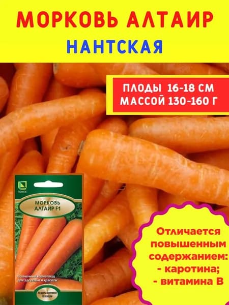 Семена Моркови "Алтаир F1"- сладкая, устойчива к заморозкам, долго хранится