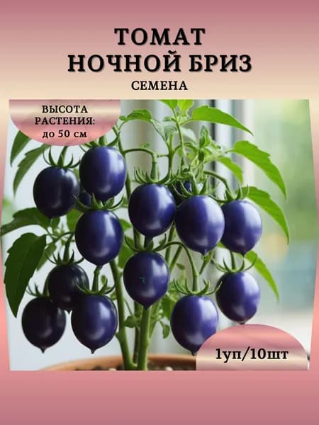 Томат "Ночной Бриз" семена, 1 пачка