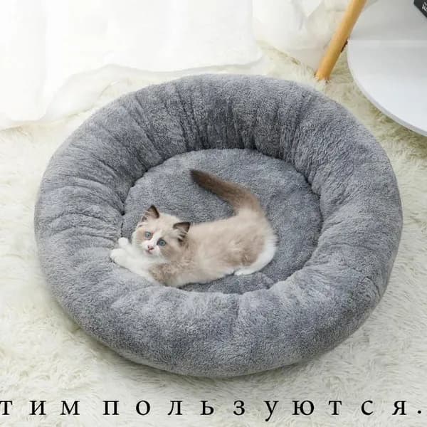 Лежаки Для Кошек С Теплыми Спинками - Идеальное Место Для Вашего Питомца В Холодные Дни
