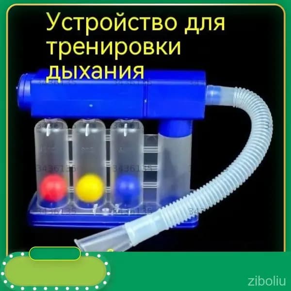 Параподиум