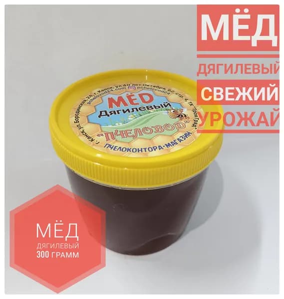 Мёд Дягилевый Алтайский 300 гр., сбор 2025 г.