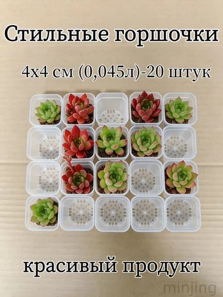 Стильные горшочки Вазон 0.05 л, 4.2 см, 20 шт, цвет прозрачный