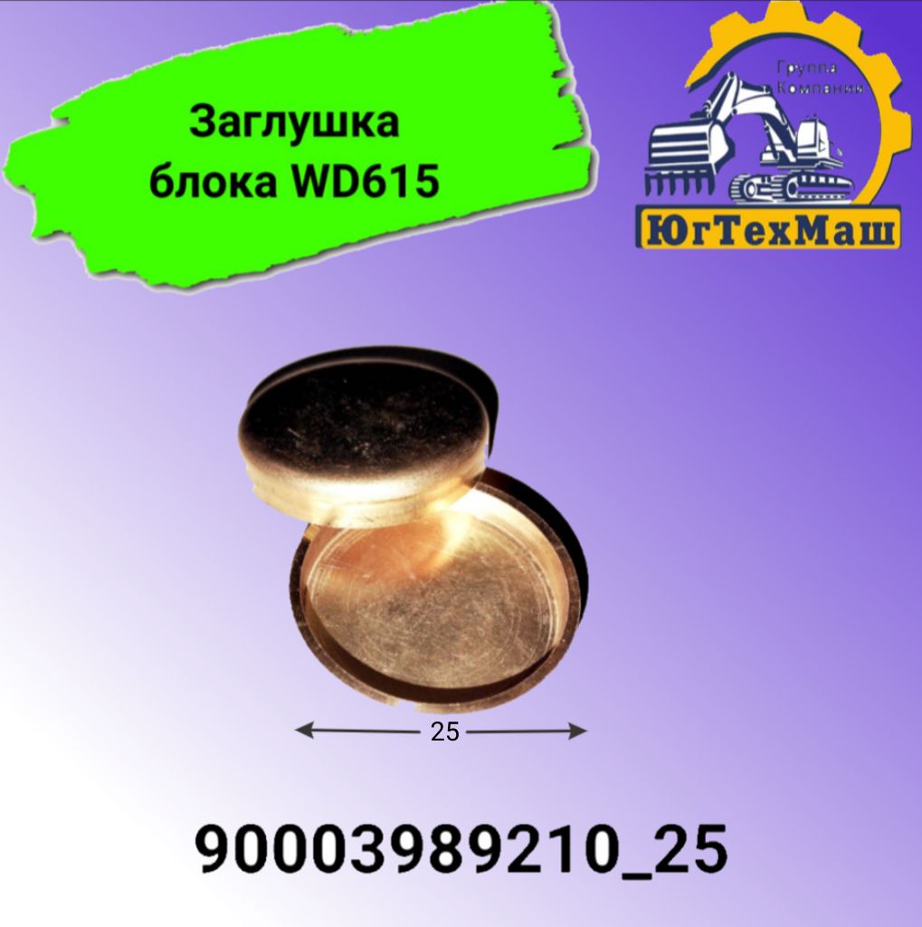 Заглушка ГБЦ WD615 D25 арт.90003989210_25
