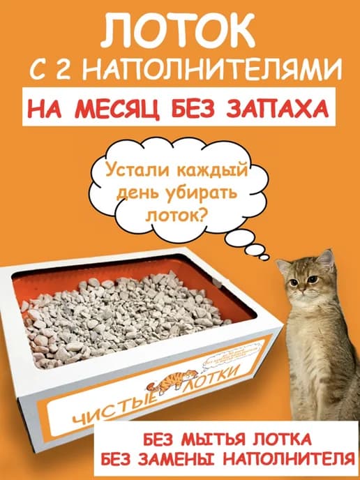Лоток с наполнителем для кошачьего туалета