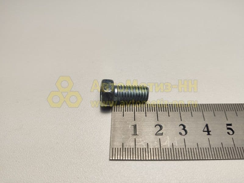 Болт М8*1,25*16.(уп. 20 шт)