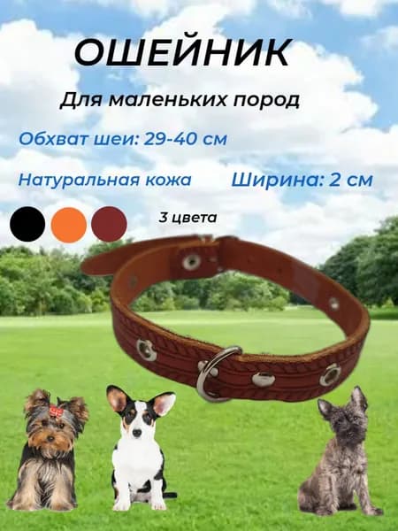 Ошейник для собак кожаный, для маленьких пород, ширина 2 см,светло-коричневый